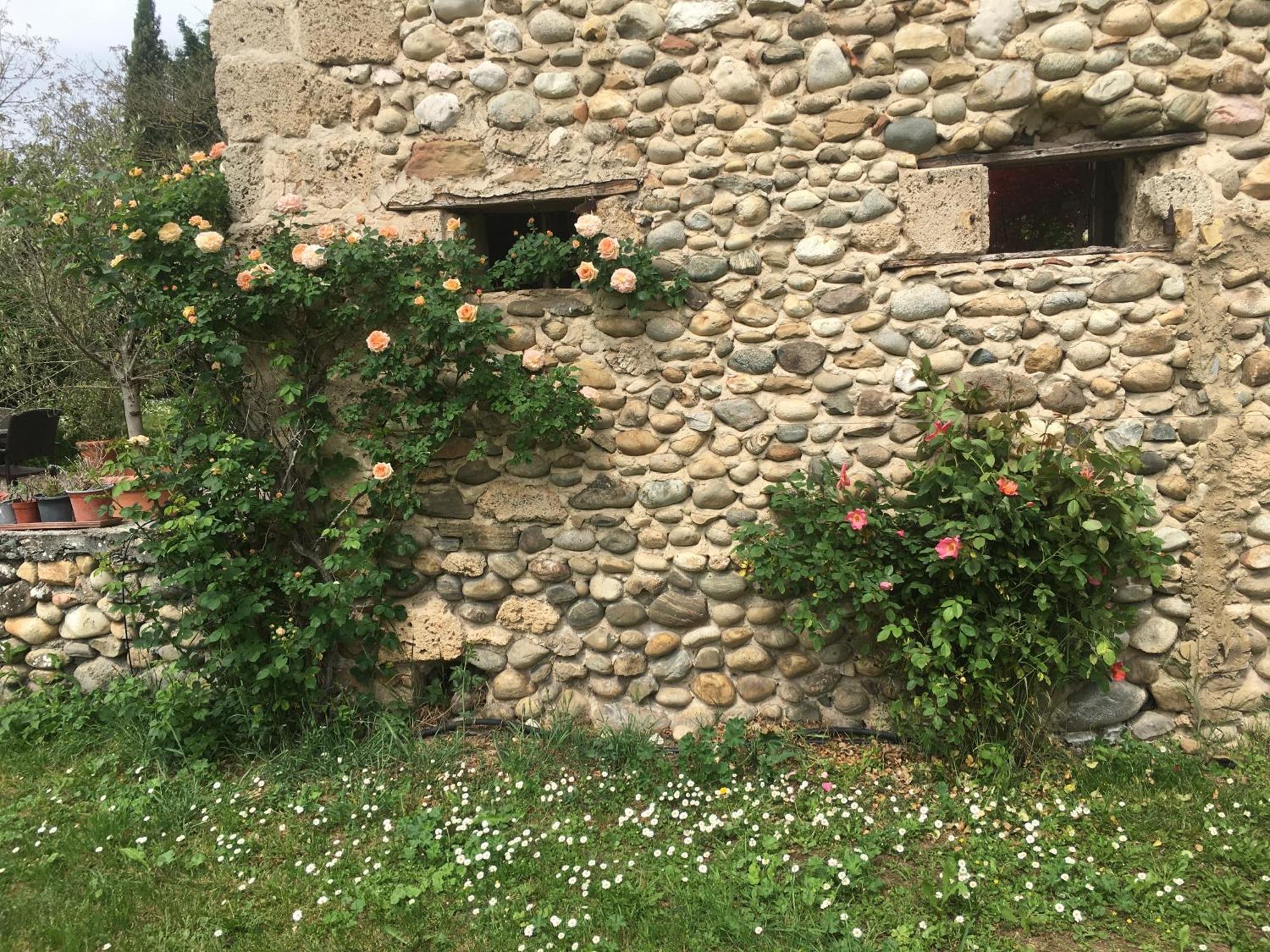 Vercors En Vert , Chambres D'Hotes De Charme Saint-Romans  Exterior foto